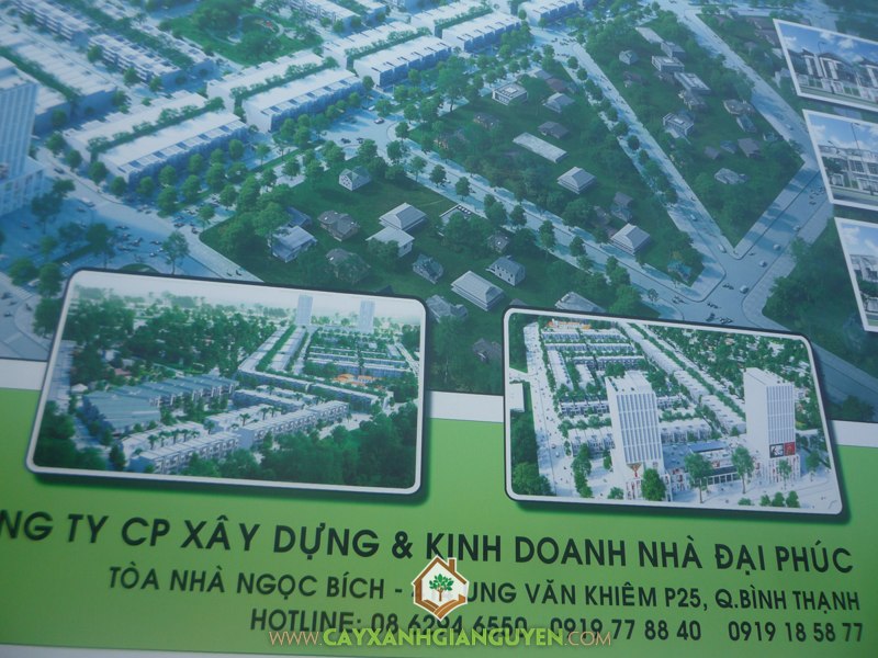 Cây Xanh Gia Nguyễn, thi công, công trình, khu dân cư, cây công trình, đối tác mới