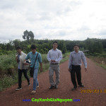 CẢM NHẬN CỦA VƯƠNG THANH XUÂN VỀ CÂY XANH GIA NGUYỄN