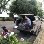 CÂY XANH GIA NGUYỄN CUNG CẤP 150 CÂY SƯA ĐỎ CHO ANH TOÀN Ở TP. HỒ CHÍ MINH